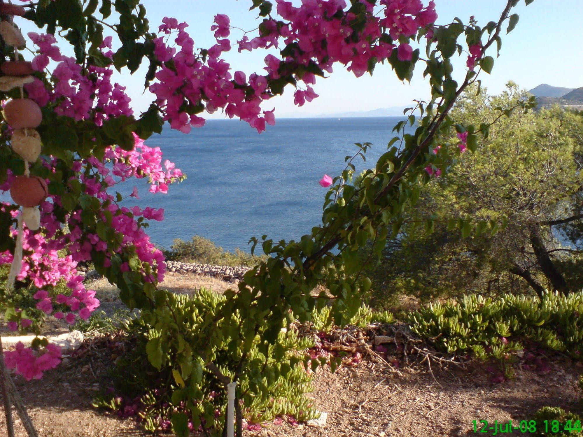 Kavos Bay Seafront Hotel Agia Marina  エクステリア 写真