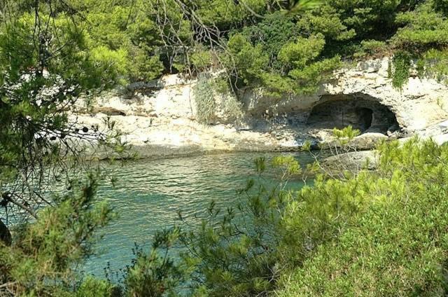 Kavos Bay Seafront Hotel Agia Marina  エクステリア 写真